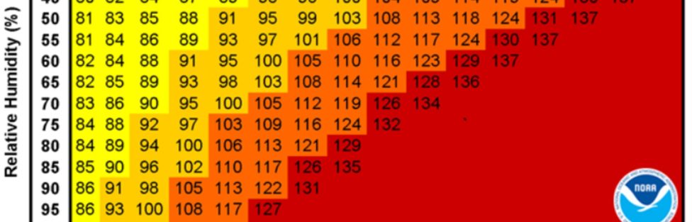 HSI Chart Challenge in OSHA Prosecutions